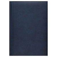 Щоденник Brunnen Агенда Torino середній синій 73-796 38 30