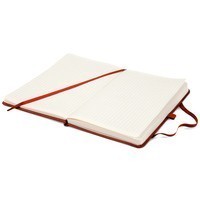 Книга записна Axent Partner Lux A5 125x195 мм 96 листів червона