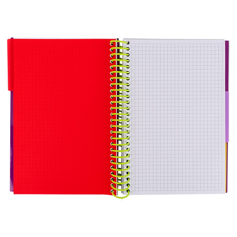 Блокнот з розділювачами Axent 8405-09-A, А5, 120 аркушів, клітинка, пурпурний