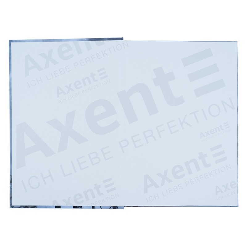 Книга записна Axent Glory 8422-566-A, А4, 96 аркушів, клітинка