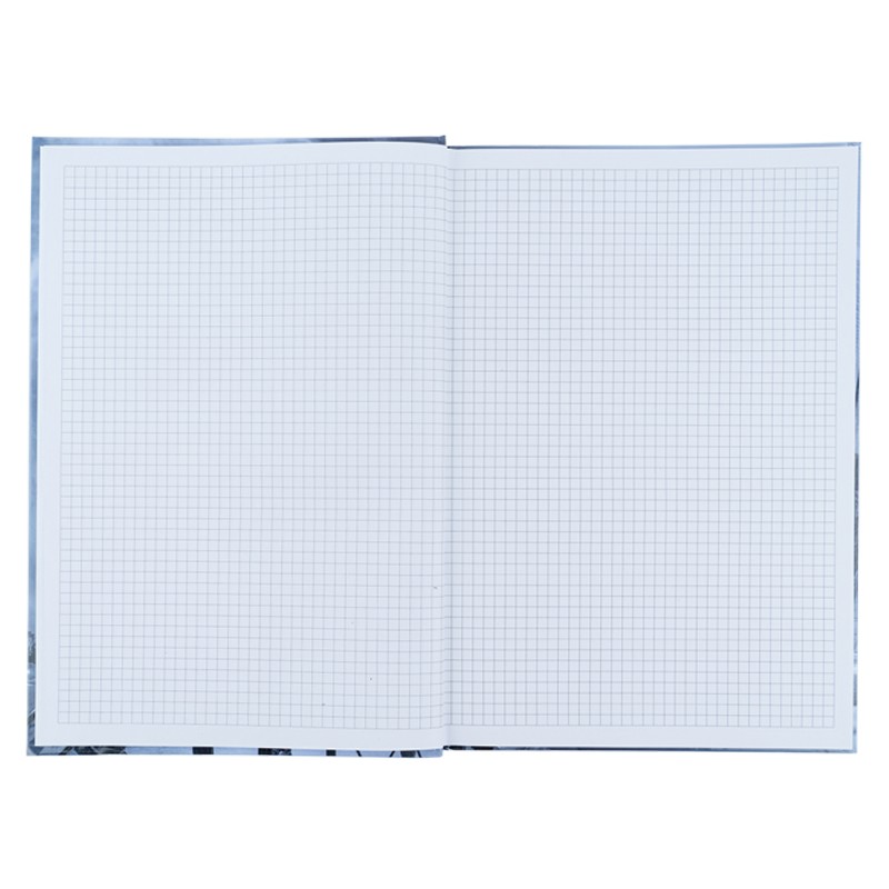 Книга записна Axent Glory 8422-566-A, А4, 96 аркушів, клітинка