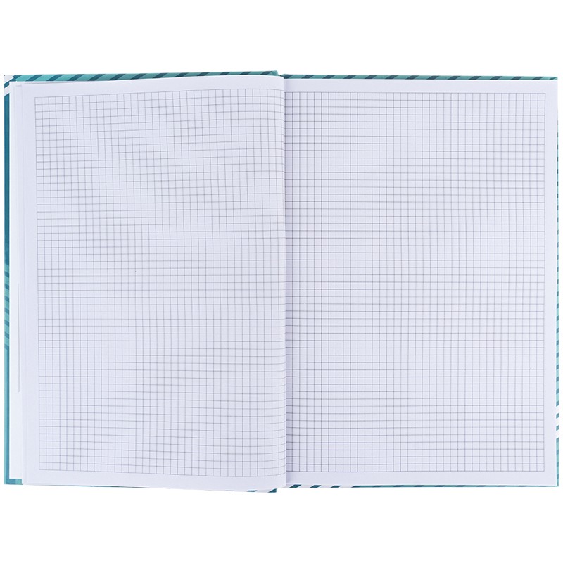 Книга записна Axent Lines 8422-582-A, А4, 96 аркушів, клітинка, зелена