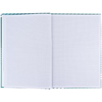 Книга записна Axent Lines 8422-582-A, А4, 96 аркушів, клітинка, зелена