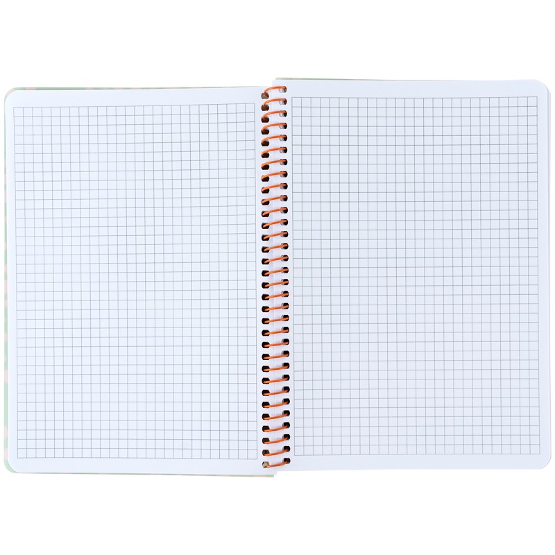 Блокнот на спiралi Axent 8462-1-A, А5, 80 аркушів, клітинка, пластикова обкладинка, салатовий