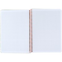 Фото Блокнот на спiралi Axent 8462-1-A, А5, 80 аркушів, клітинка, пластикова обкладинка, салатовий