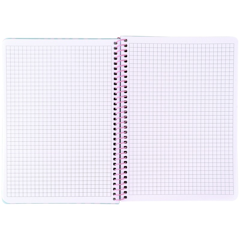 Блокнот на спiралi Axent 8462-2-A, А5, 80 аркушів, клітинка, пластикова обкладинка, блакитний