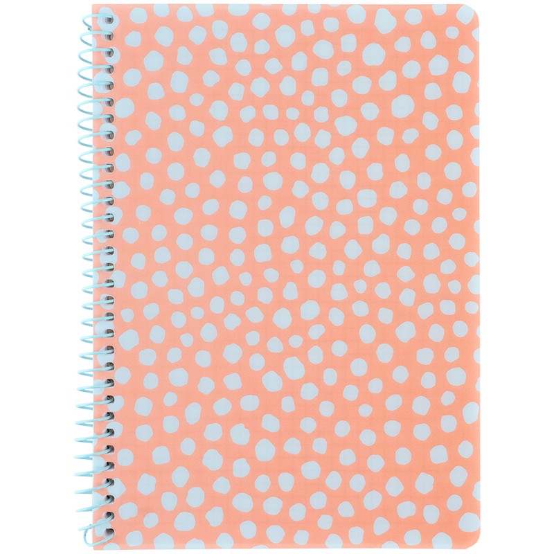 Блокнот на спiралi Axent 8462-3-A, А5, 80 аркушів, клітинка, пластикова обкладинка, персиковий
