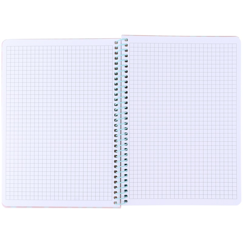 Блокнот на спiралi Axent 8462-3-A, А5, 80 аркушів, клітинка, пластикова обкладинка, персиковий