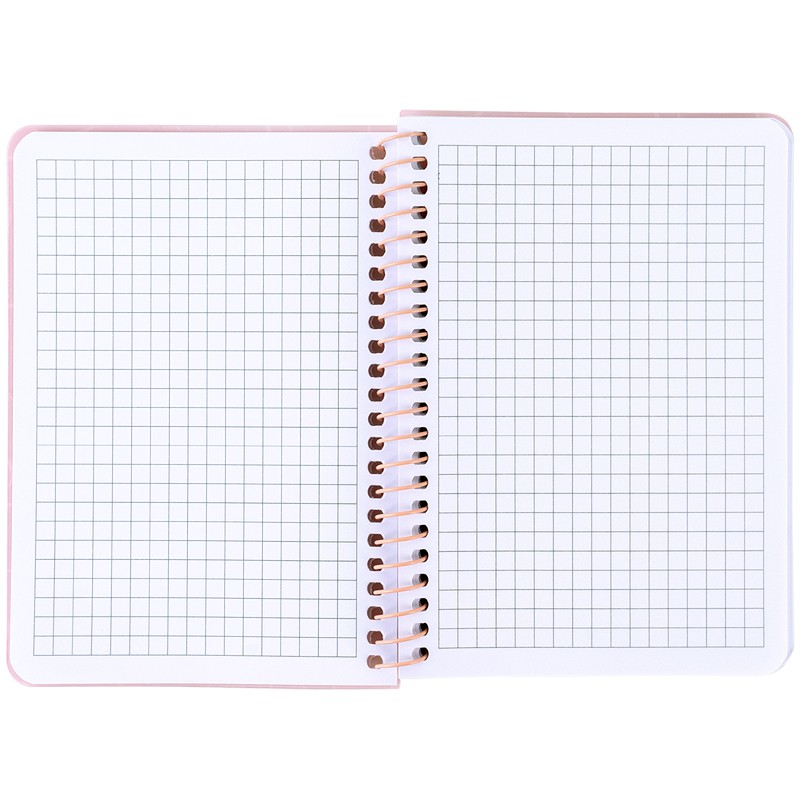 Блокнот на спiралi Axent 8463-3-A, B6, 80 аркушів, клітинка, пластикова обкладинка, поморанчевий