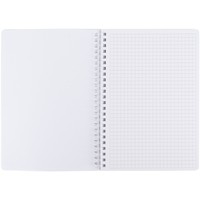 Фото Блокнот на спiралi Axent 8472-1-A, A5, 80 аркушів, клітинка, пластикова обкладинка, зелений