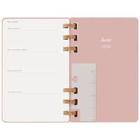 Фото Щотижневик Moleskine 2026 Spiral середній Мигдальний 8056999276485